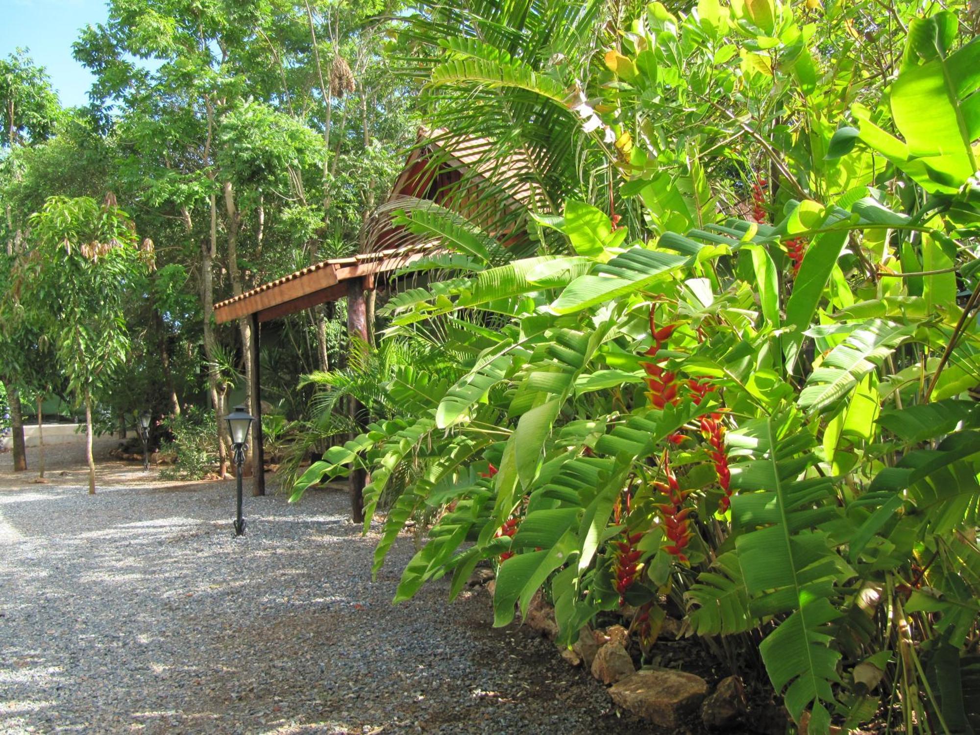 Eco Pousada Villa Verde Bonito  Dış mekan fotoğraf