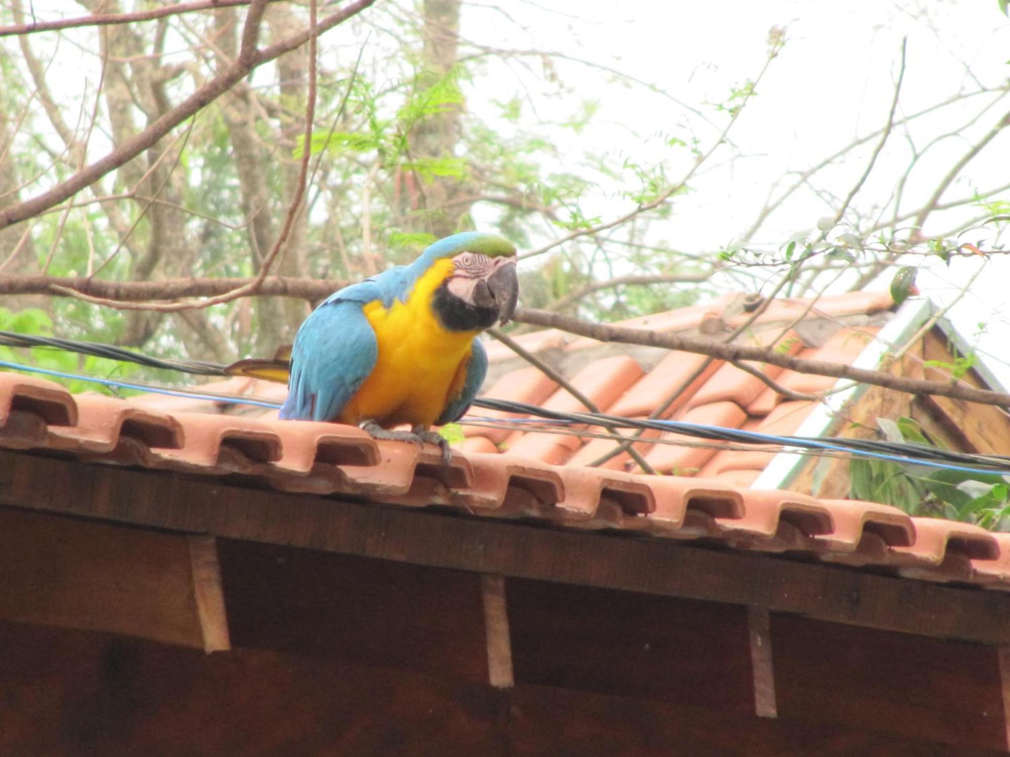 Eco Pousada Villa Verde Bonito  Dış mekan fotoğraf