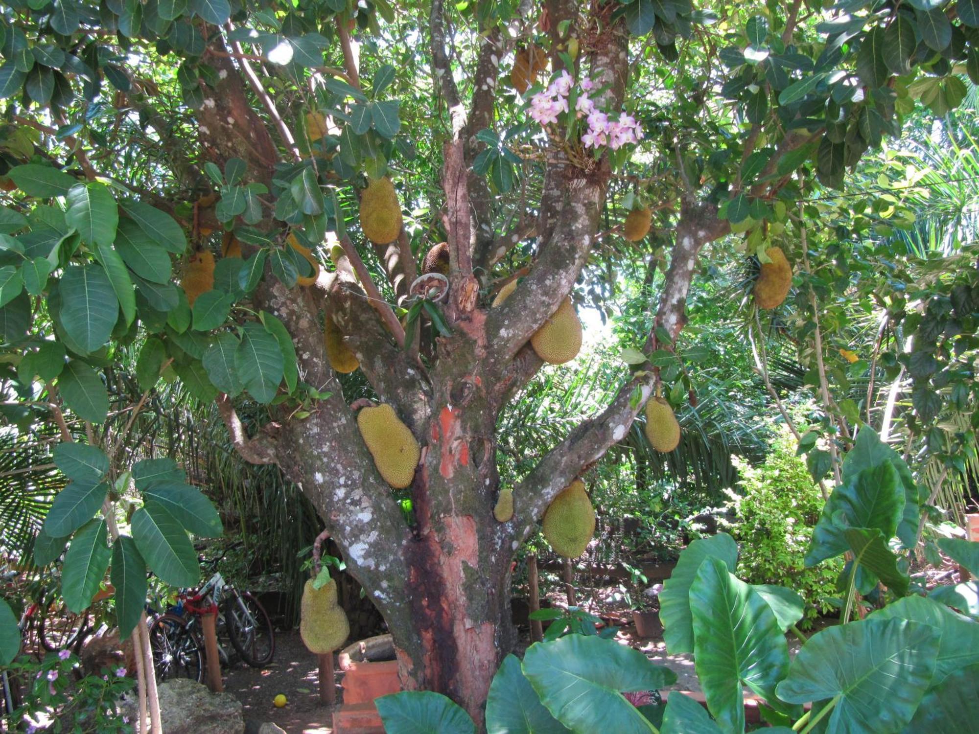 Eco Pousada Villa Verde Bonito  Dış mekan fotoğraf